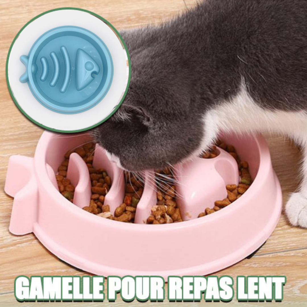 gamelle-anti-glouton-chats-bleu-et-rose-couleurs