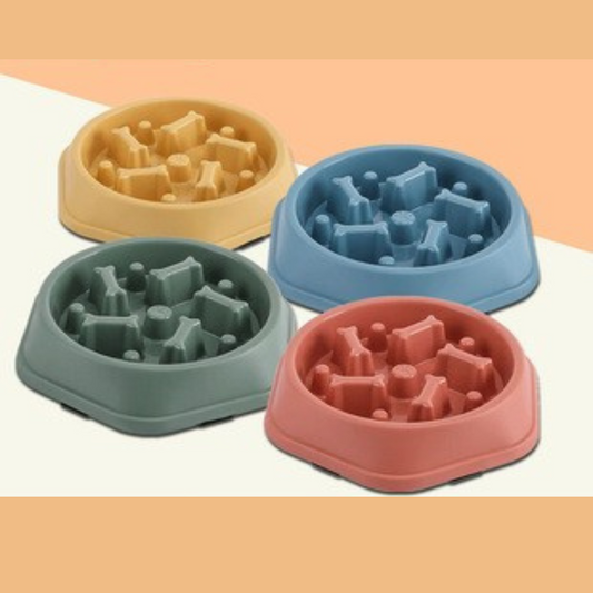 gamelle-anti-glouton-hexagonale-quatres-modèles-agrébles-couleurs