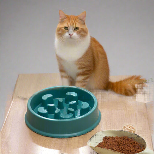 gamelle-anti-glouton-ronde-chats
