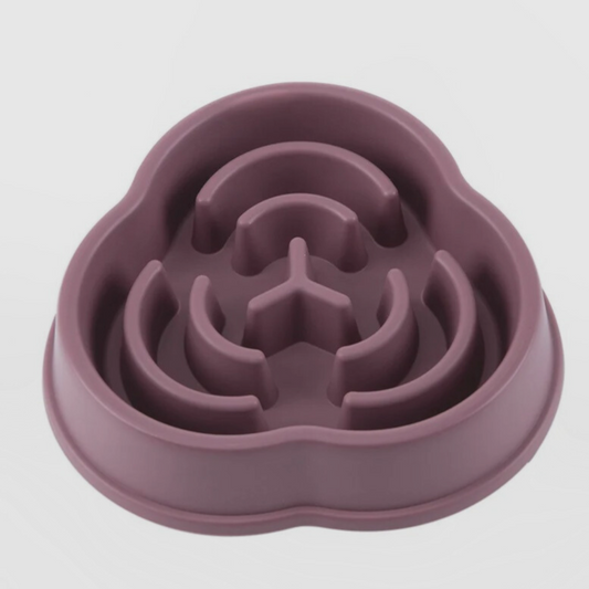 gamelle-anti-glouton-violette-seule