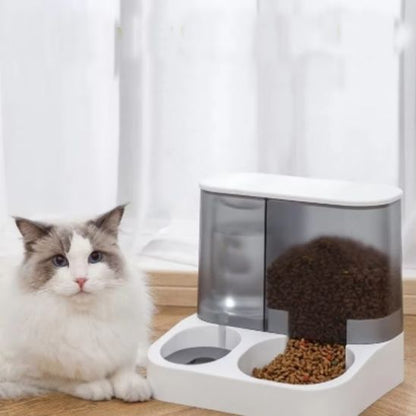 gamelle-automatique-chat-présentation chat