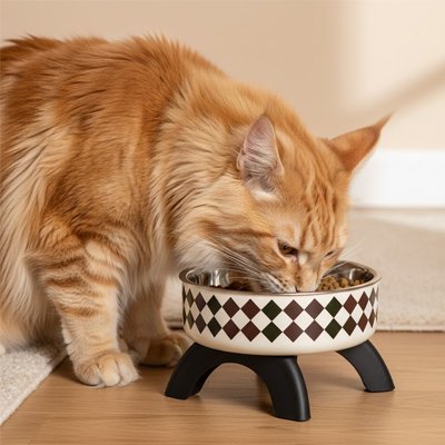 Gamelle chat surélevée