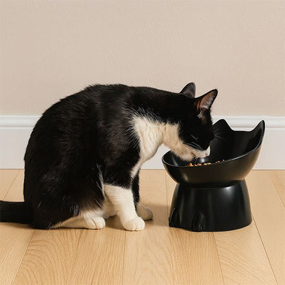 Gamelle Chat surélevée
