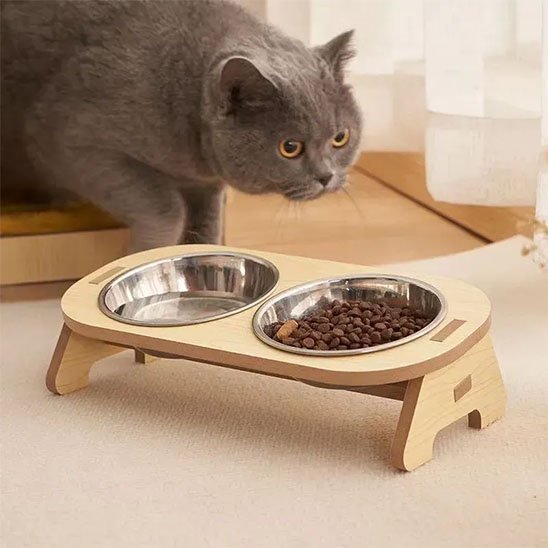 Gamelle chat surélevée en action