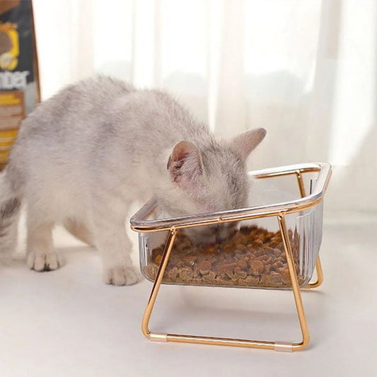 Gamelle chat - transparent