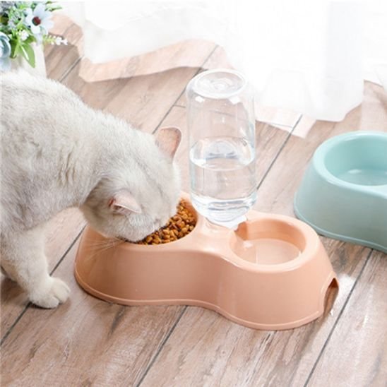 Gamelle chat