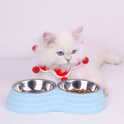 gamelle-chat_bleue