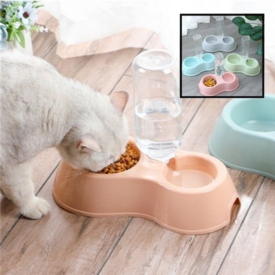 gamelle-chat_croquettes mangé