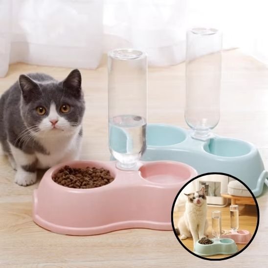 gamelle-chat_derrière bebe