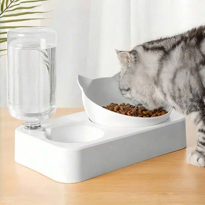 gamelle-chat_en action avec un chat qui mange