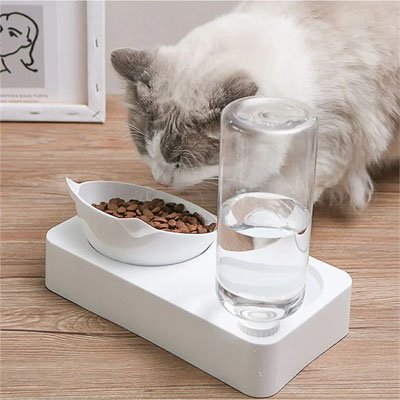 gamelle-chat_goute