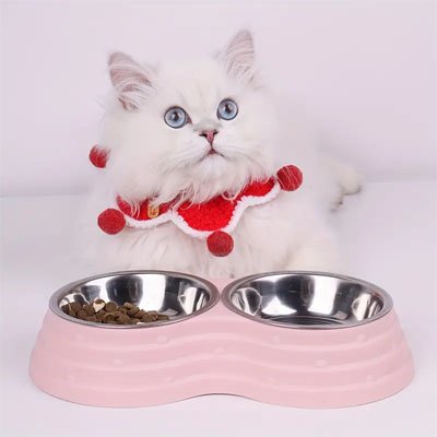 gamelle-chat_inox roses