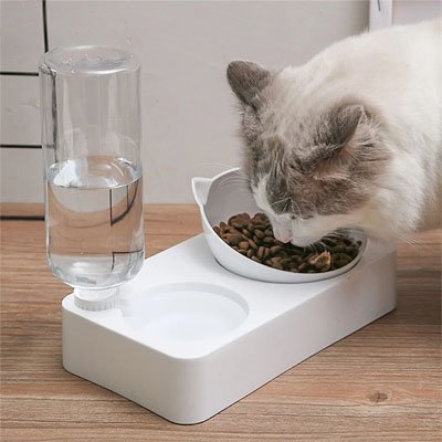 gamelle-chat_une seule