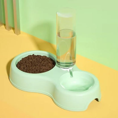 gamelle-chat_verte et eau