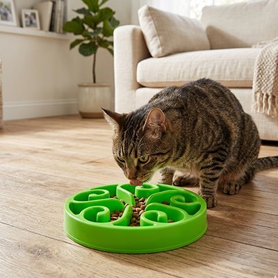 Gamelle labyrinthe chat verte