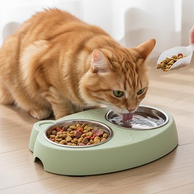 Gamelle pour chat - vert