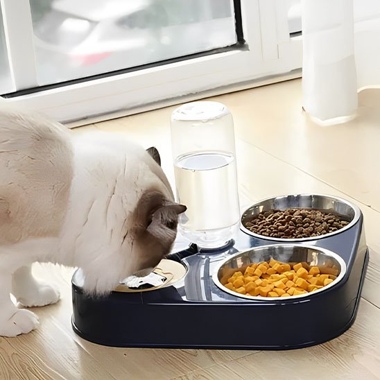 gamelle-pour-chat_choix multiple