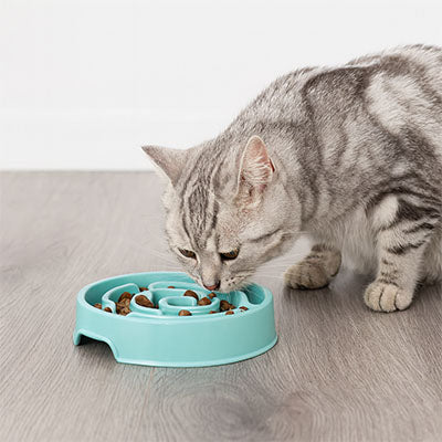 gamelle_anti_glouton_chat_Topissimo_bleue