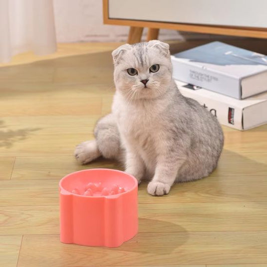gamelle_anti_glouton_chat_bureau chat gris