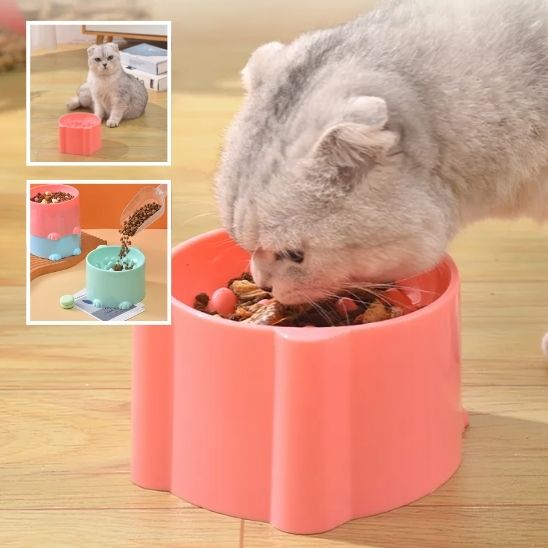 gamelle_anti_glouton_chat chat croquettes