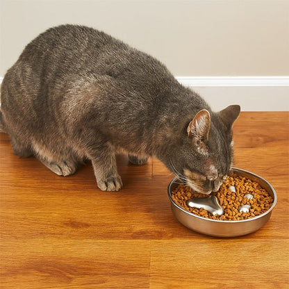 gamelle anti glouton chat tigré gris empreinte patte