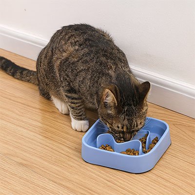 gamelle anti glouton chaton bleue croquettes