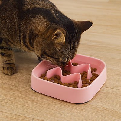 gamelle anti glouton chaton rose chat tigré croquettes