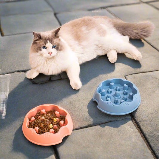 gamelle anti glouton pour chat picots
