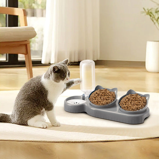 gamelle_automatique_chat_et_eau_chat joue