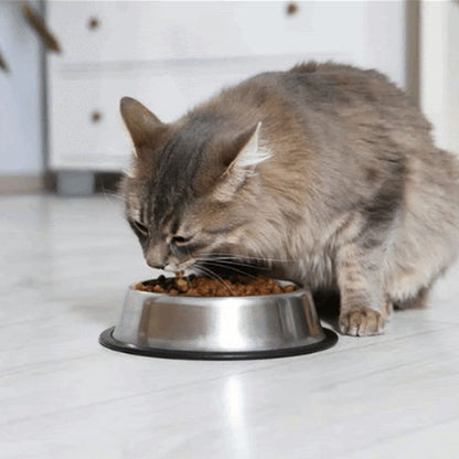 gamelle_chat_inox_mange