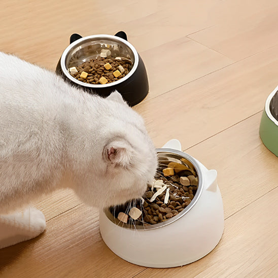 gamelle_chat_oreilles_de_chat_
