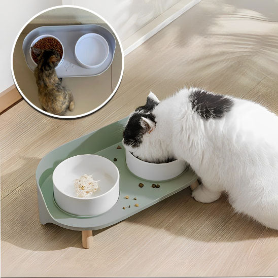 gamelle chat plateau