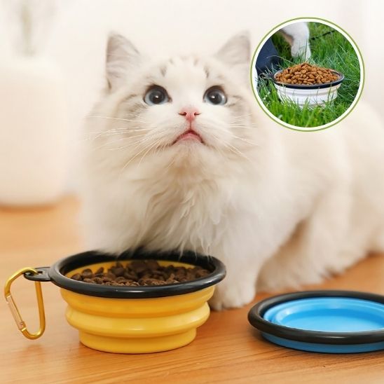 gamelle_chat_pliable