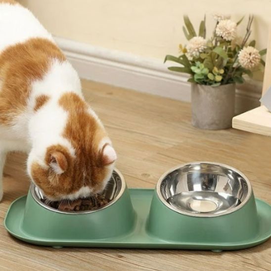 gamelle chat surélevée mange