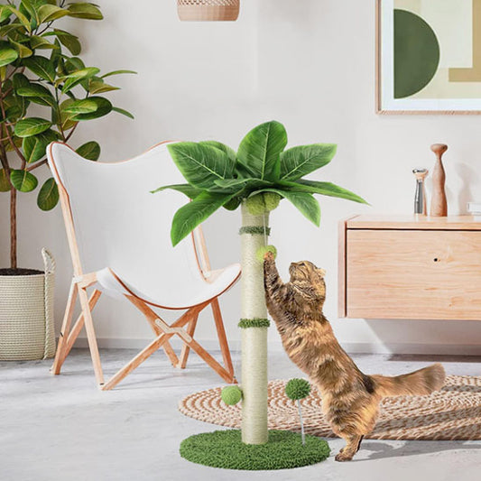 griffoir-chat-palmier_etirement