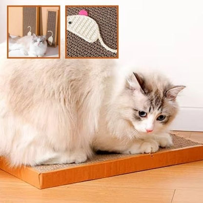 Griffoir chat