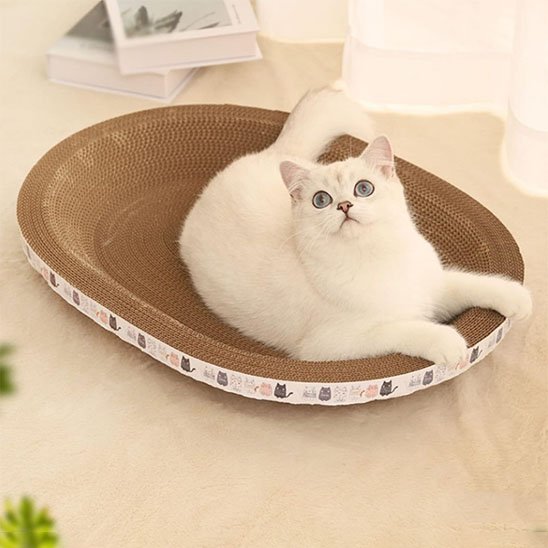 griffoir-chat_deux fonctions