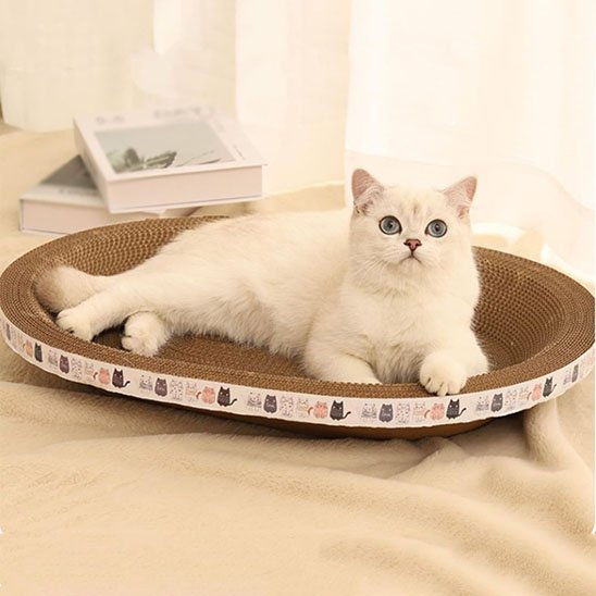 griffoir-chat_socle plat