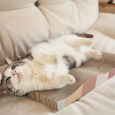 Griffoir en carton pour Chat