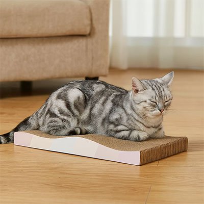 Griffoir en carton pour Chat