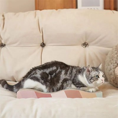 Griffoir en carton pour Chat