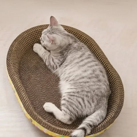griffoir-en-carton-pour-chat_se repose