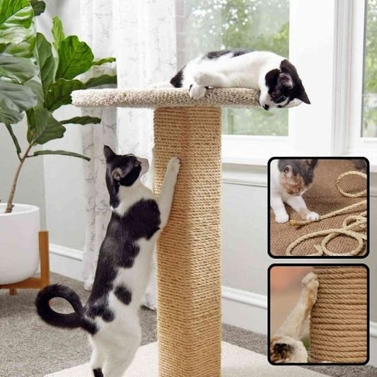 Griffoir pour chat deux chat