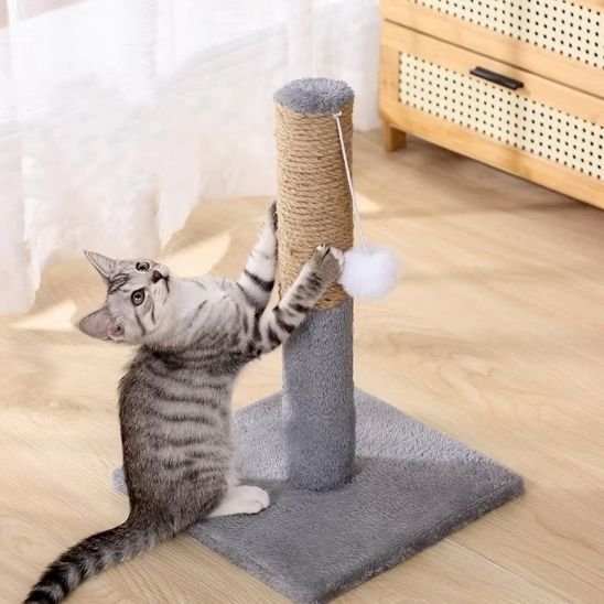 Griffoir pour chat griffures de chat