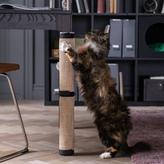Griffoir pour chat