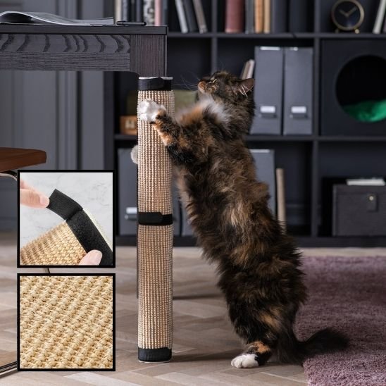 Griffoir pour chat
