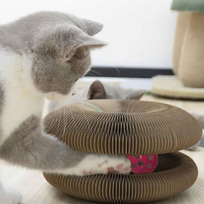 griffoir à chat en carton