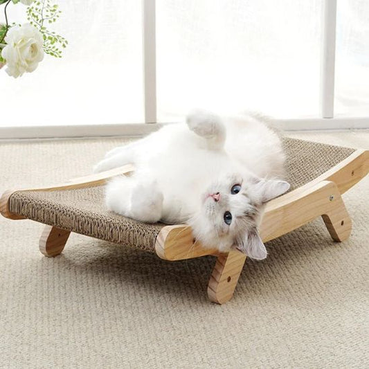 griffoir_a_chat_grattoir_sur le dos