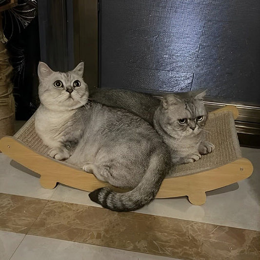 griffoir_chat_lit_deux chats
