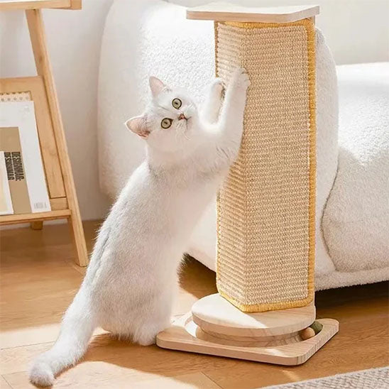Griffoir chat | Tapis